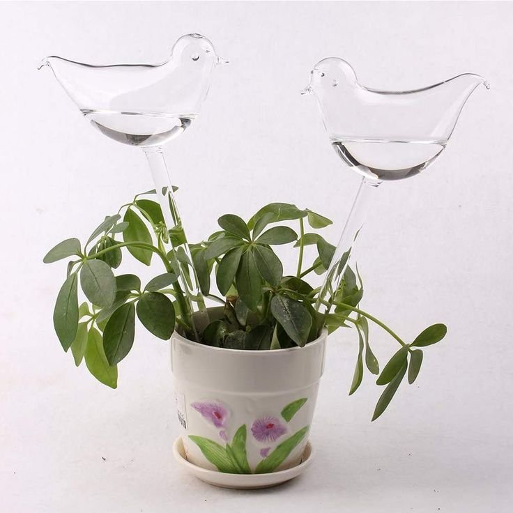 The Empty Space Bird-Shaped Self Watering Globe for Plants | Clear Glass Watering Bulb | Automatic Plant Waterer for Indoor & Outdoor Pots | Home Garden Accessory | Gift for Plant Lover - Image 2