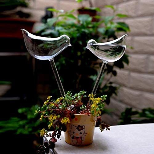 The Empty Space Bird-Shaped Self Watering Globe for Plants | Clear Glass Watering Bulb | Automatic Plant Waterer for Indoor & Outdoor Pots | Home Garden Accessory | Gift for Plant Lover - Image 3