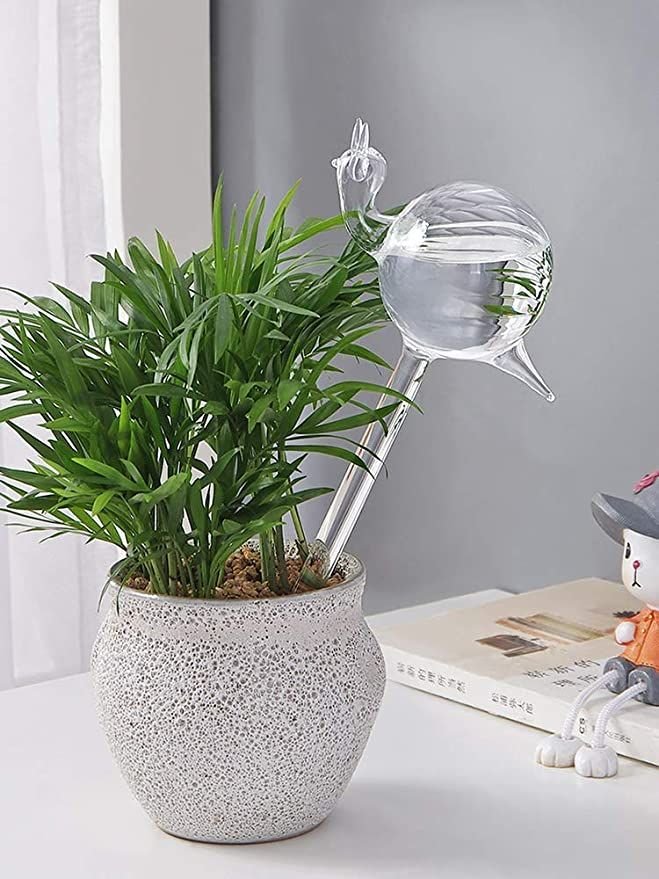 The Empty Space Self Watering Globe for Plants | Clear Glass Watering Bulb | Automatic Plant Waterer for Indoor & Outdoor Pots | Home Garden Accessory | Gift for Plant Lover - Image 3