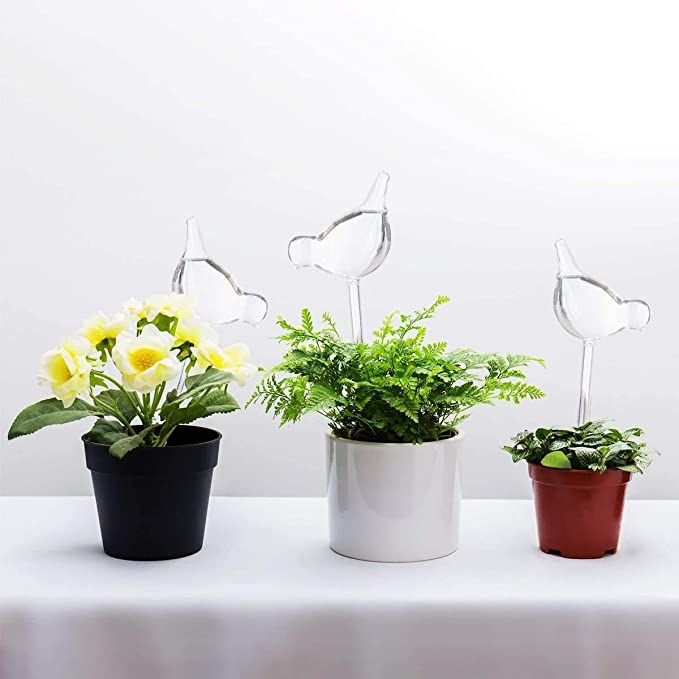The Empty Space Bird-Shaped Self Watering Globe for Plants | Clear Glass Watering Bulb | Automatic Plant Waterer for Indoor & Outdoor Pots | Home Garden Accessory | Gift for Plant Lover - Image 4