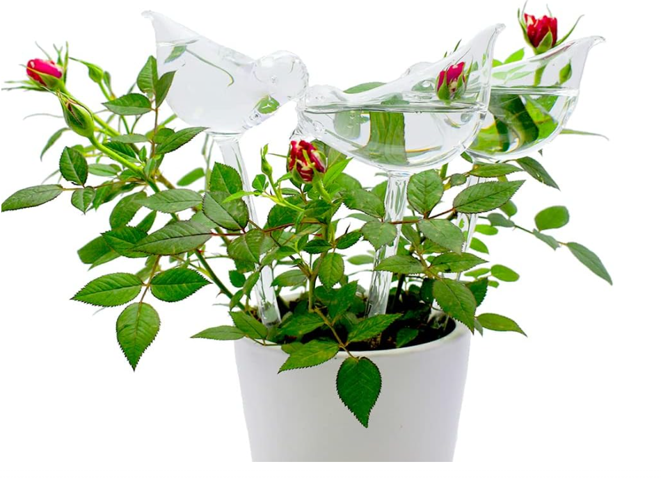 The Empty Space Bird-Shaped Self Watering Globe for Plants | Clear Glass Watering Bulb | Automatic Plant Waterer for Indoor & Outdoor Pots | Home Garden Accessory | Gift for Plant Lover - Image 6