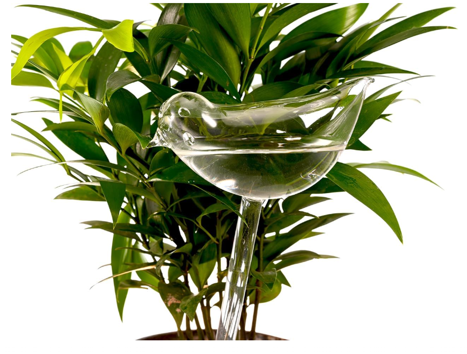 The Empty Space Bird-Shaped Self Watering Globe for Plants | Clear Glass Watering Bulb | Automatic Plant Waterer for Indoor & Outdoor Pots | Home Garden Accessory | Gift for Plant Lover - Image 8
