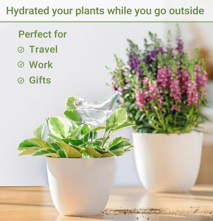 The Empty Space Bird-Shaped Self Watering Globe for Plants | Clear Glass Watering Bulb | Automatic Plant Waterer for Indoor & Outdoor Pots | Home Garden Accessory | Gift for Plant Lover - Image 9