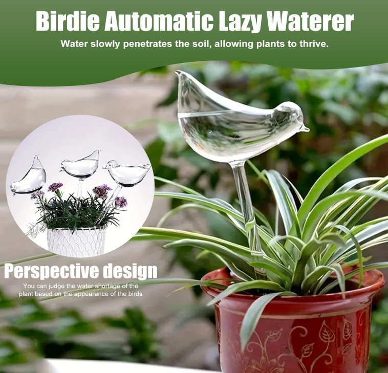 The Empty Space Bird-Shaped Self Watering Globe for Plants | Clear Glass Watering Bulb | Automatic Plant Waterer for Indoor & Outdoor Pots | Home Garden Accessory | Gift for Plant Lover - Image 10