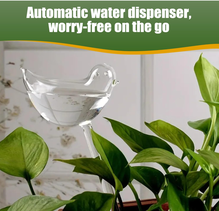 The Empty Space Bird-Shaped Self Watering Globe for Plants | Clear Glass Watering Bulb | Automatic Plant Waterer for Indoor & Outdoor Pots | Home Garden Accessory | Gift for Plant Lover - Image 11