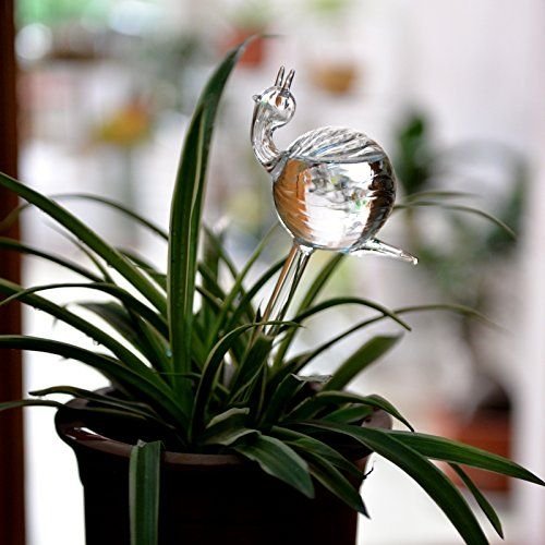The Empty Space Self Watering Globe for Plants | Clear Glass Watering Bulb | Automatic Plant Waterer for Indoor & Outdoor Pots | Home Garden Accessory | Gift for Plant Lover - Image 4